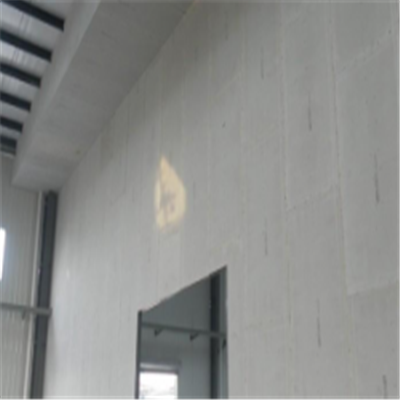 开江新型建筑材料掺多种工业废渣的ALC|ACC|FPS模块板材轻质隔墙板